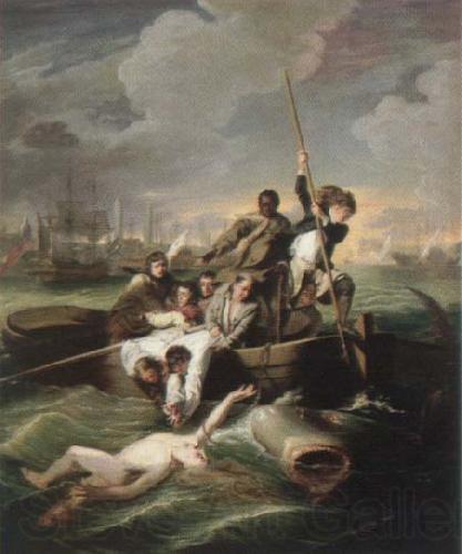 John Singleton Copley watson and the shark